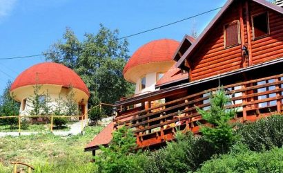 Арт Апартман Минић