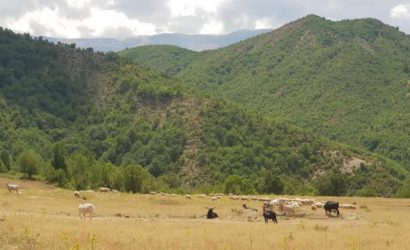 Horseback riding in south Albania14