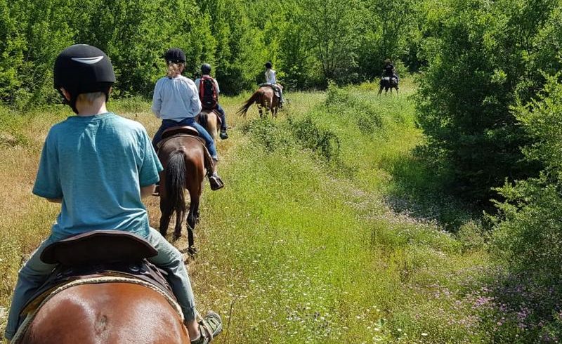 Hipur me kalë në Shqipëri4