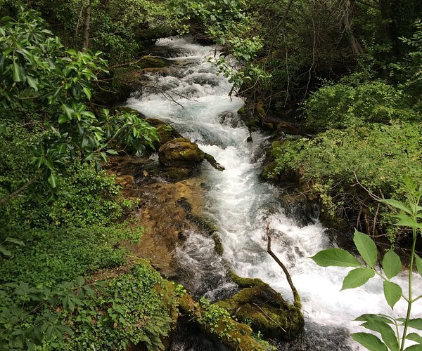 Vevcani springs