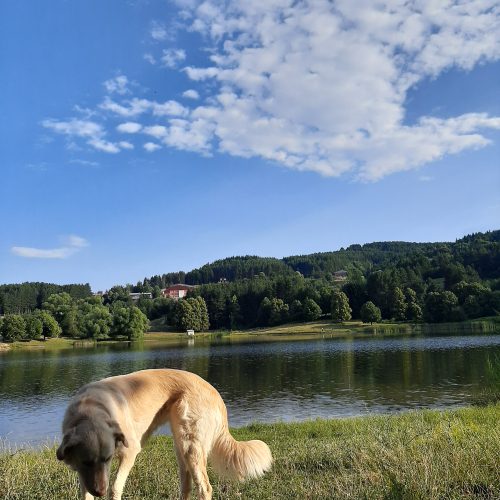 Het Krushevo-meer is elk seizoen van het jaar een geweldige plek. Je kunt er wandelen en genieten van de prachtige natuur, schone lucht en geweldig uitzicht!